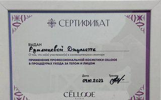Портфолио