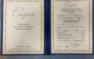 Портфолио
