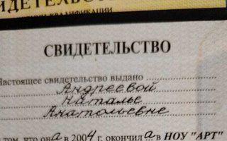 Портфолио