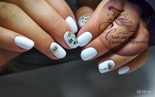 Портфолио